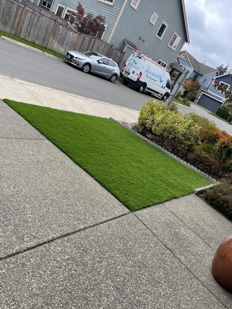 Artificial Grass Installation